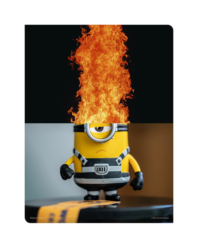 Fire! / 30 x 40 cm / Serie limitada a 3 obras