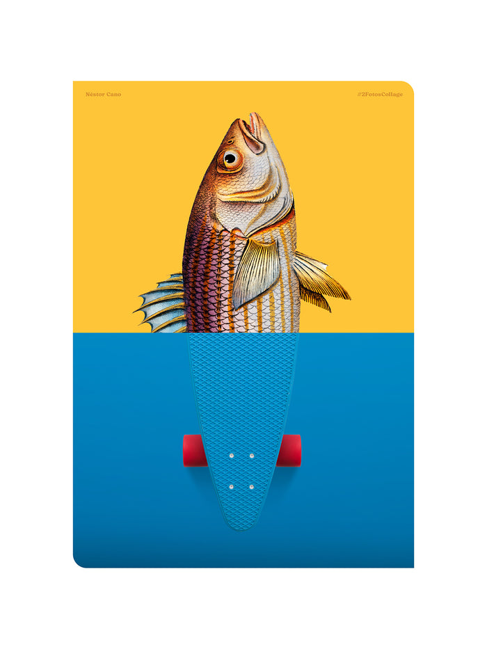 Skatefish 2.0 serie 1/5 / 21x30 cm / Néstor Cano