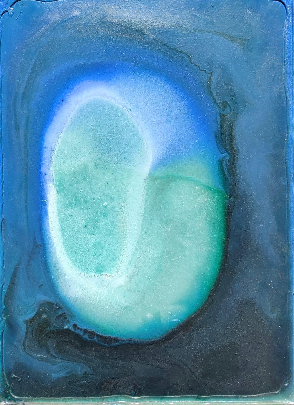 Evolution / 30 x 40 cm sobre tabla / Andrew Evans