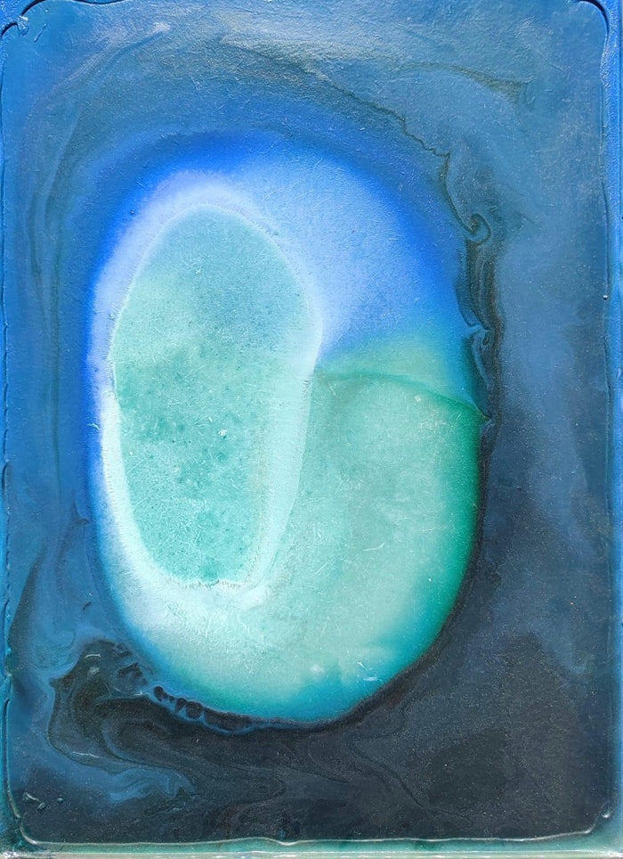 Evolution / 30 x 40 cm sobre tabla / Andrew Evans