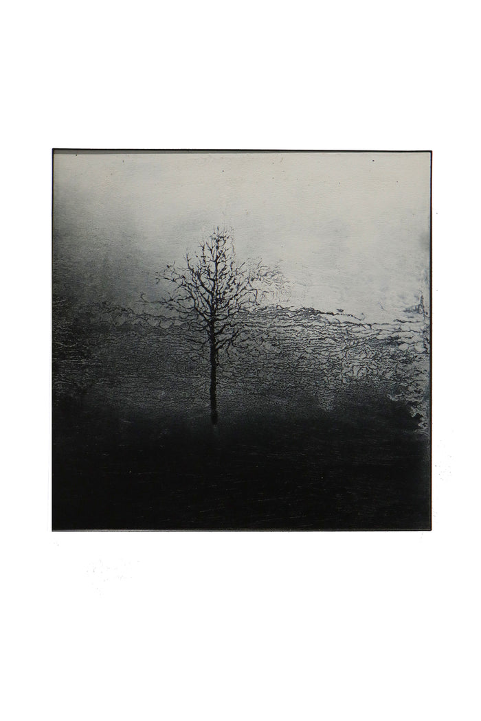 Sin título 40 x 40 cm / José Arias