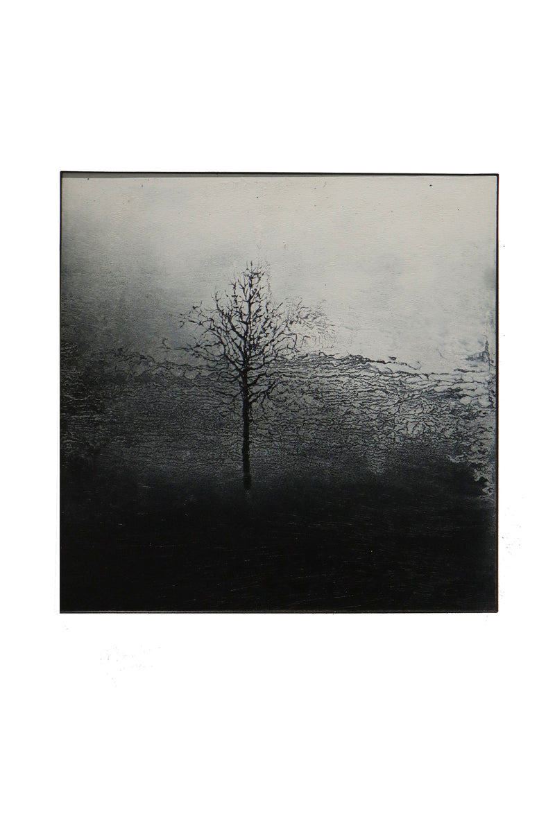 Sin título 40 x 40 cm / José Arias