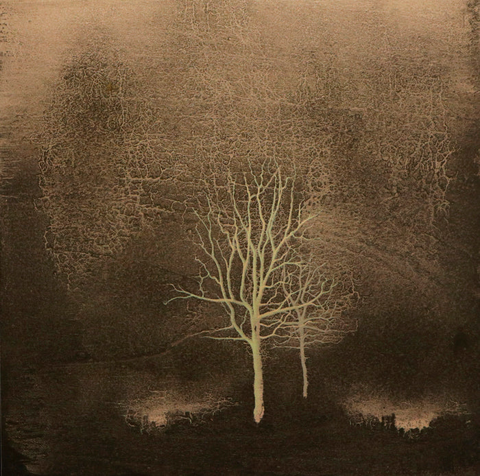 Dos árboles / 60x60 cm / José Arias
