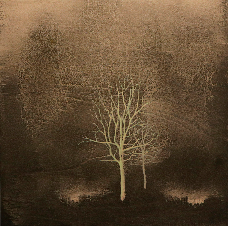 Dos árboles / 60x60 cm / José Arias