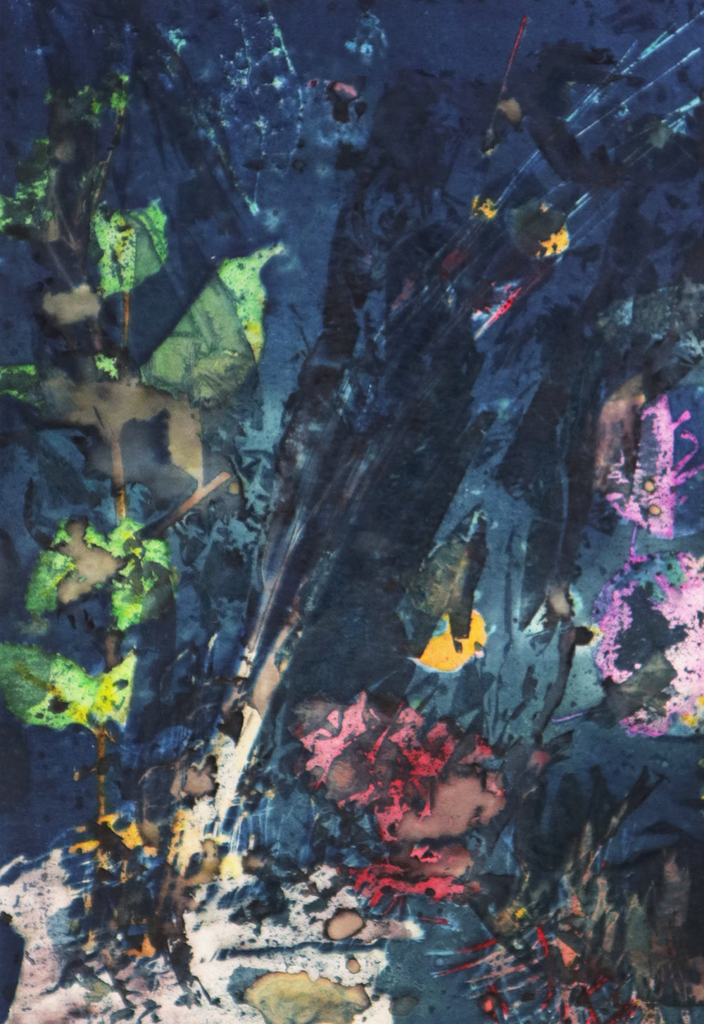 Bosque Adentro II / 20 x 30 cm sobre papel / Inma Nieto