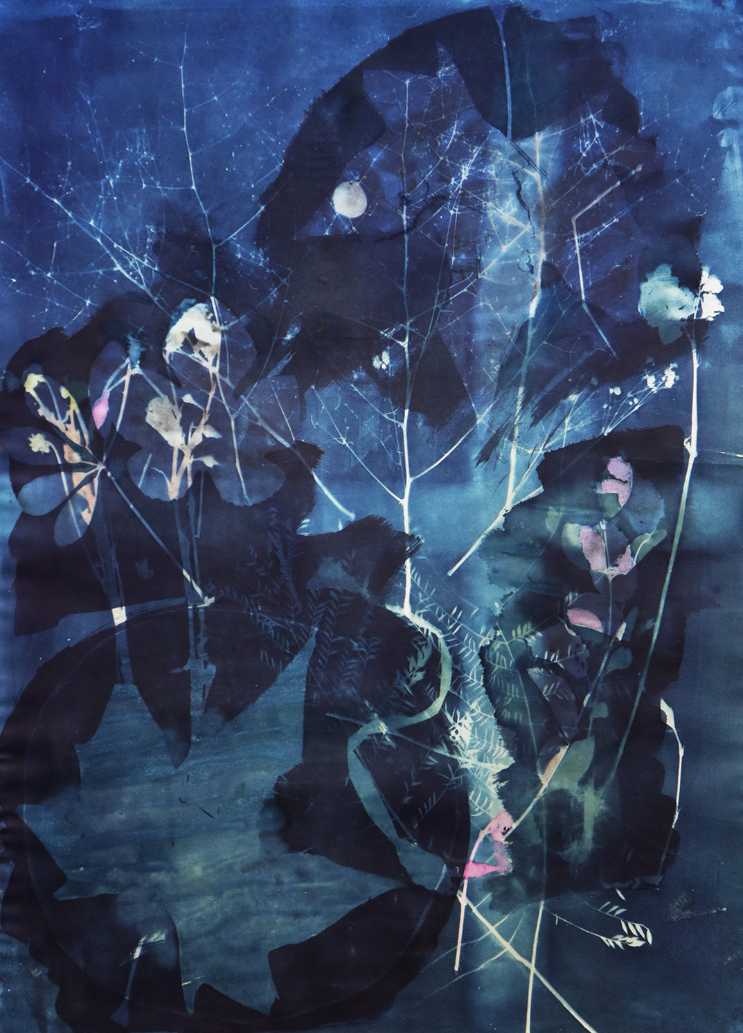Bosque Adentro III / 70 x 50 cm sobre papel / Inma Nieto