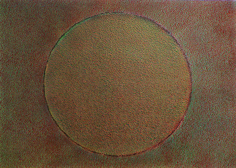 Círculo / 70x50 cm / Exequiel