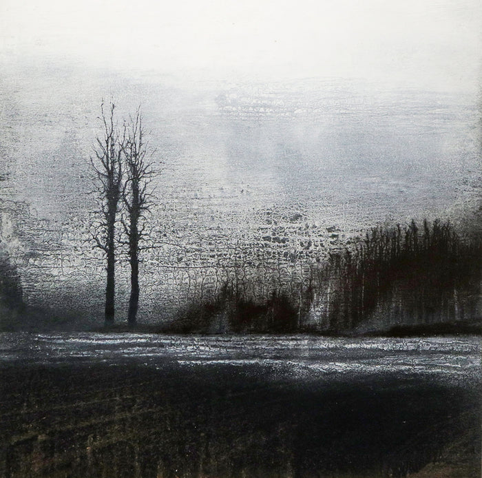 Bosque nevado / 75x 75 cm / José Arias